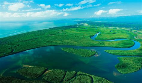 Daintree Rainforest | Mossman Gorge Tours | Daintree River Cruise