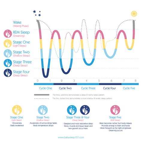 Baby Sleep 101 :: Child and Baby Sleep Training The Science of Sleep ...