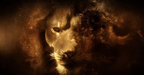 Wallpapers Box: Abstract Lion HD Wallpapers | Backgrounds