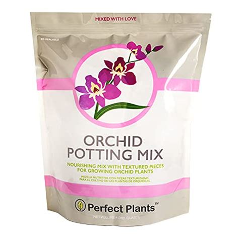 8 Best Potting Mix For Orchids | Reviews + Guide