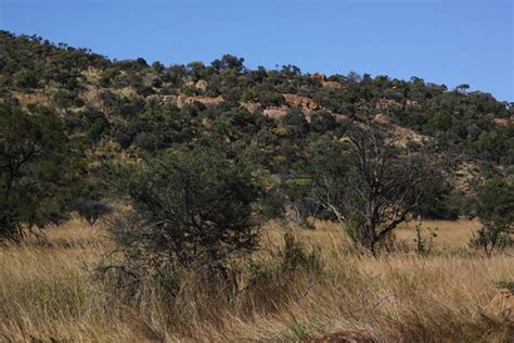 Pilanesberg National Park | Pilanesberg Game Reserve is in t… | Flickr