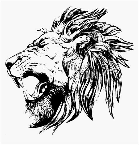 Lion Drawing - Lion Face Side View Drawing, HD Png Download - kindpng