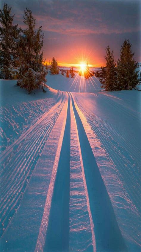 Winter Sunrise - title Skiing into morning light. - by Jornada Allan Pedersen | Paesaggi ...