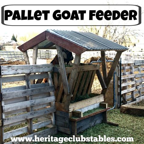 heritageclubstables.com | Goat feeder, Goat farming, Goat playground