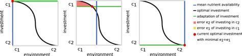 Computational Investigation of Environment-Noise Interaction in Single ...