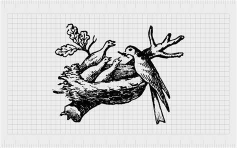 Nestlé Logo History: The Nestlé Symbol And Birds