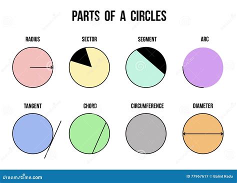 Parts of a Circles on White Background Stock Vector - Illustration of graphic, group: 77967617