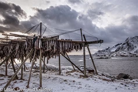 Winter in the Lofoten Islands, Norway ~ Learn, Live, and Explore!