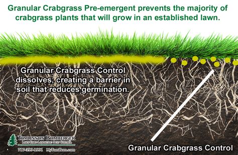 Pre-Emergent Herbicides For Weed Control Shop Pre-Emergent Herbicide ...