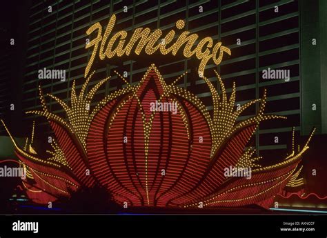 Pink Flamingo Casino and Hotel Neon Sign Stock Photo - Alamy