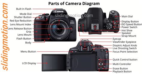 Film Camera Parts Diagram