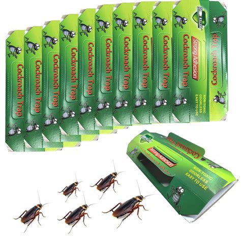 Buy Cockroach Trap Roach Killer Indoor Home Non-Toxic Sticky Trap Bug ...