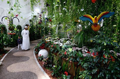 In pics: Dubai Butterfly Garden - Arabian Business: Latest News on the ...