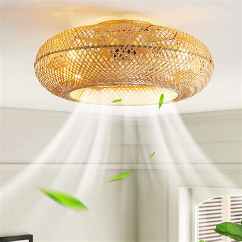 hummingbird 20" Boho Ceiling Fans with Lights and Remote,Rattan Flush Mount Ceiling Fan with ...