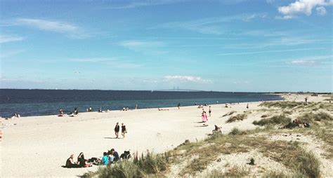 5 REASONS TO VISIT COPENHAGEN IN SUMMER - Travel Monkey