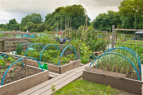 Allotment Raised Beds - Allotment & Gardens