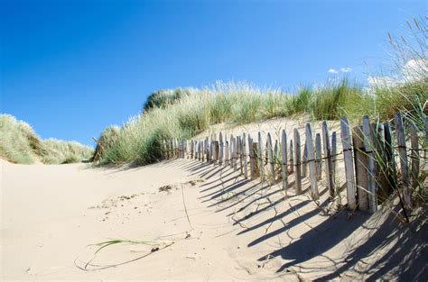 Fence On The Beach Free Stock Photo - Public Domain Pictures