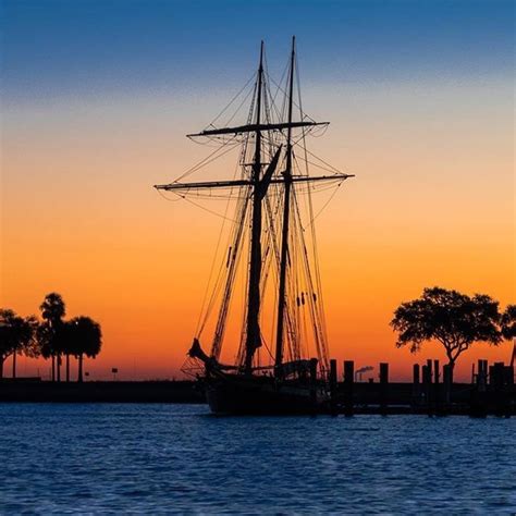 The Top Things to Do in St Pete/Clearwater 2019-20 | Visit St Petersburg Clearwater Florida