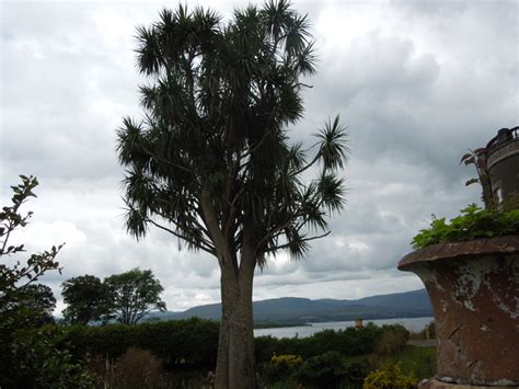 Bantry House And Gardens - Deborah's Gardening Tour