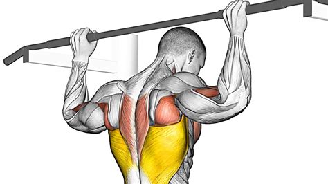 The Best PullUp Variations (Transform Your Back) - YouTube