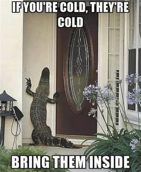 Pin by Eldora Jhung on Meme | Florida funny, Winter humor, State of florida