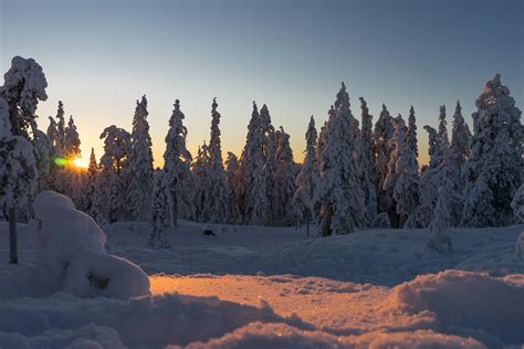 Winter in Rovaniemi, Lapland, Finland [OC] [6000x4000] : r/EarthPorn