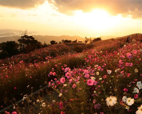 Japan: a beautiful country | Most beautiful places in the world ...