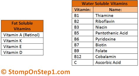 Fat Soluble Vitamins and Water Soluble Vitamins | Stomp On Step1