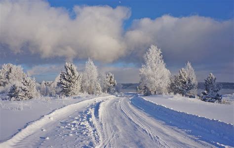 🔥 Siberian winter. : r/NatureIsFuckingLit