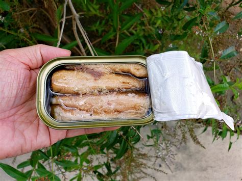 Canned Sardines In Olive Oil - Eat With Emily