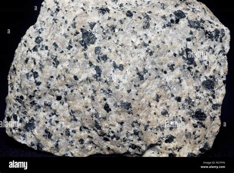 Tonalite, holocrystalline magmatic rock Stock Photo - Alamy