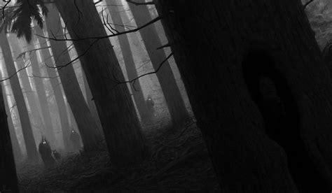 Dark Scary Forest Wallpaper - WallpaperSafari