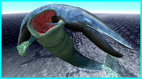 The Ultimate Showdown: Bloop VS Blue Whales - Animal Revolt Battle Simulator [ARBS] - YouTube