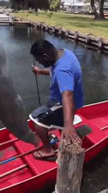 Fishing Fail GIFs | Tenor