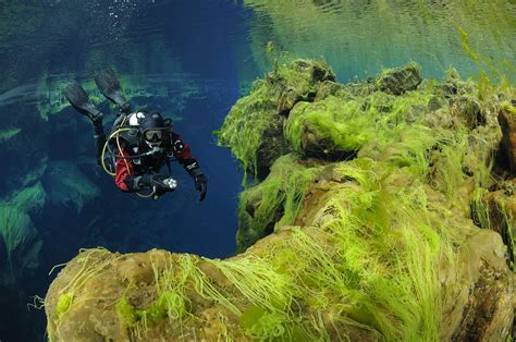 Diving Silfra Tour - The Dive Between The Continents (With transfer ...