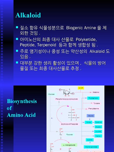 Alkaloid | Biosynthesis | Amino Acid