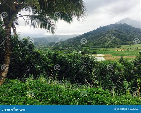 Scenic Mountain View on the Big Island of Hawaii Stock Photo - Image of destination, mountain ...