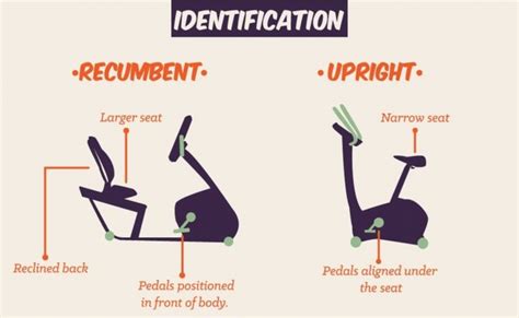 Recumbent Bike VS Upright Bike: Main Differences, Speed, Benefits - Hood MWR