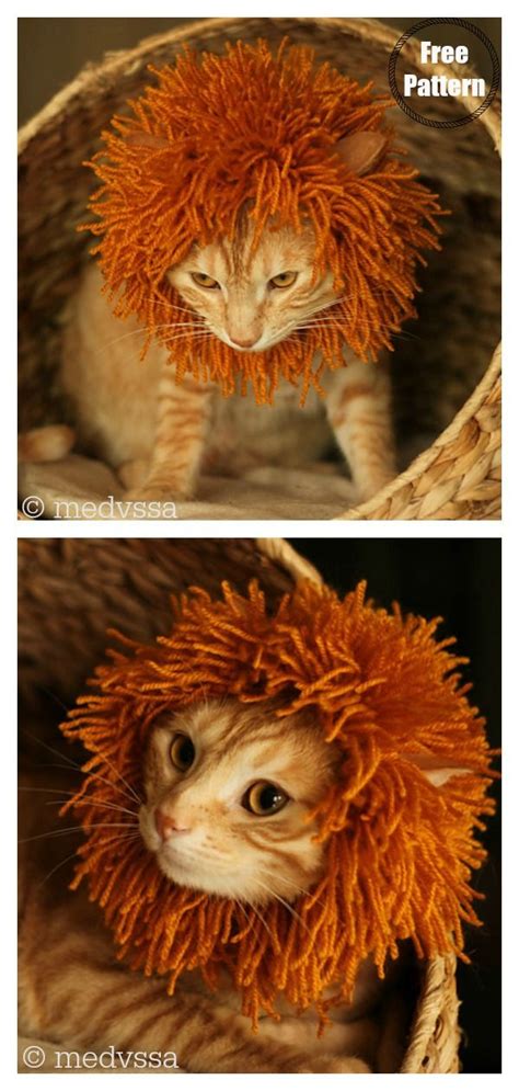 Cute Cat Hat Free Knitting Pattern | Crochet cat hat, Lion mane for cat ...