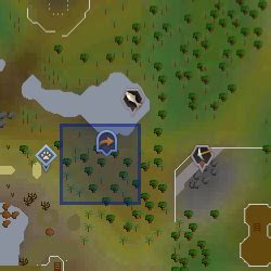 Osrs Fairy Ring Locations Map