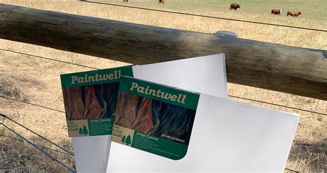 Bulk Cheap Canvases - Paintwell - Art Materials Australia