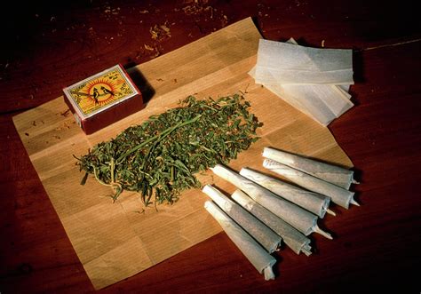 Cannabis Joints And Marijuana Photograph by Pascal Goetgheluck/science ...