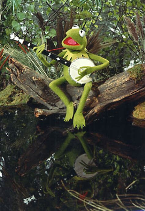 Kermit's Swamp | Muppet Wiki | Fandom