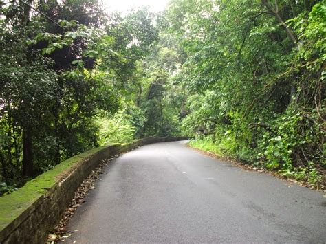 Manoj Saldana: Agumbe Forest, Shivamogga Dist, Karnataka, India