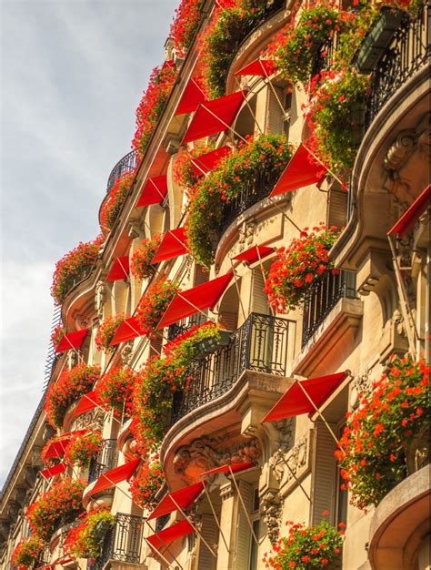 Balconies Flowers | Plaza athenee paris, Hotel plaza athenee paris, Urban garden