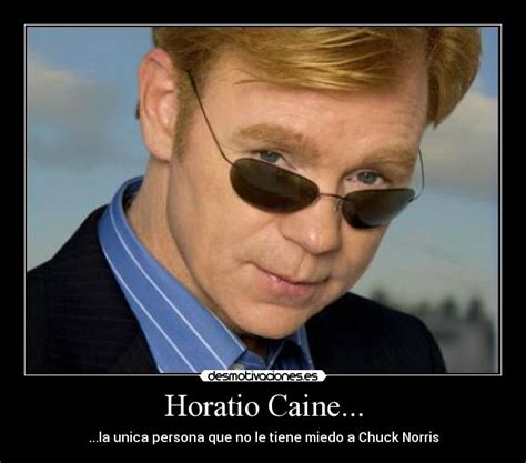 Horatio Caine Quotes. QuotesGram