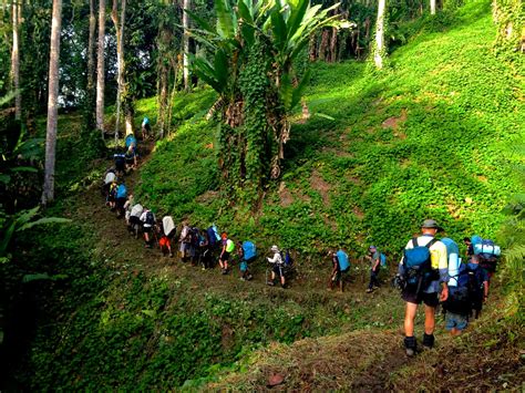 kokoda track experience – kokoda track ww2 – Mcascidos