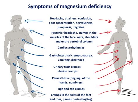 Bengkel Sehat Hati: 5 Tanda & Gejala Kekurangan Magnesium