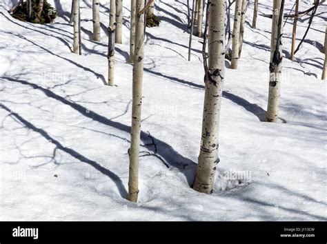 Aspen colorado snow hi-res stock photography and images - Alamy