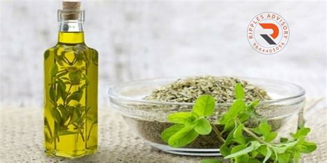 Ripples Commodity Blog: Mentha Oil Futures Edge Higher On Pick-Up In Demand